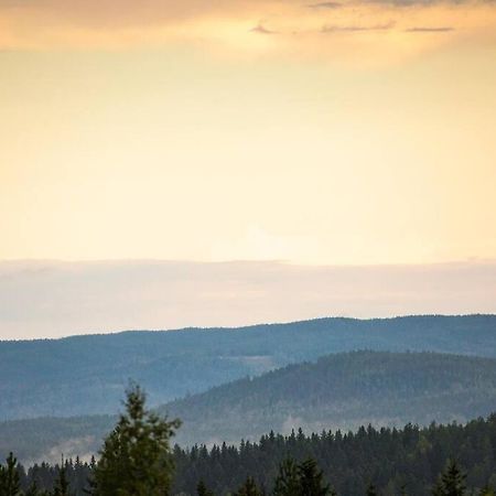 Vila Langroesta; Ruime Blokhut Grenzend Aan Bos Hagfors Exteriér fotografie