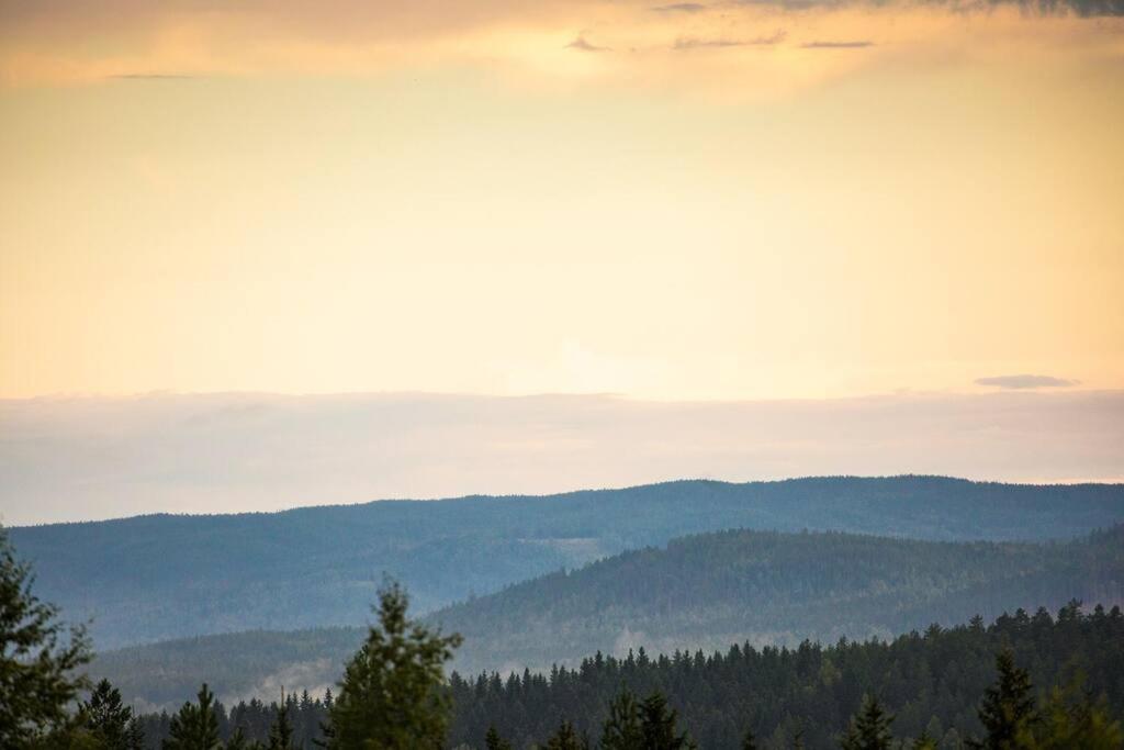 Vila Langroesta; Ruime Blokhut Grenzend Aan Bos Hagfors Exteriér fotografie