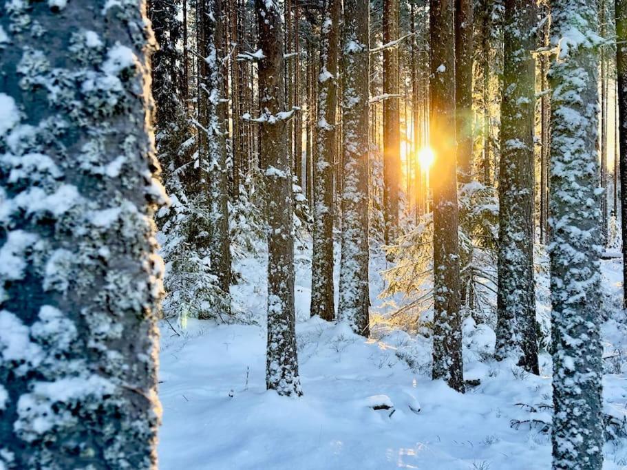 Vila Langroesta; Ruime Blokhut Grenzend Aan Bos Hagfors Exteriér fotografie